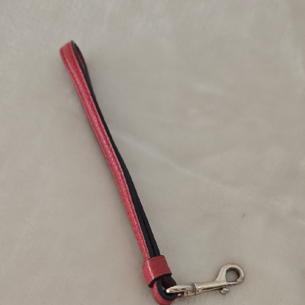 Replacement Wristlet Strap.